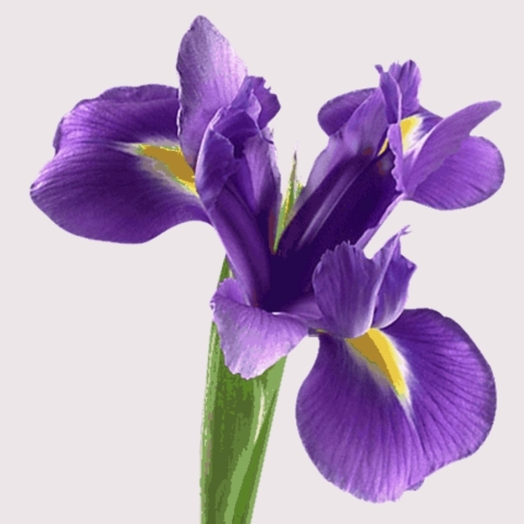 Mini Flower Charm Pendant - Picture 4 of 4